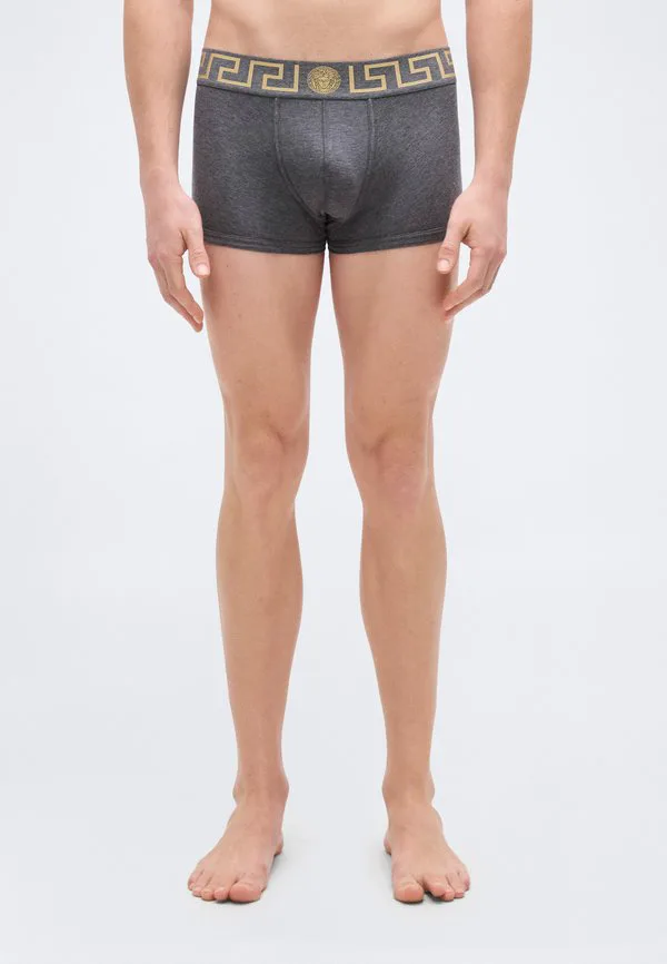 

Трусы с низкой посадкой, плавки Versace, Grey/Gold-Coloured, Серый, Трусы с низкой посадкой, плавки Versace, Grey/Gold-Coloured