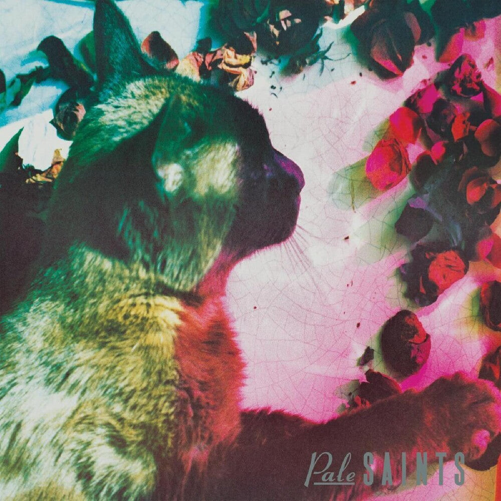 

Виниловая пластинка Pale Saints - The Comforts of Madness: 30th Anniversary Reissue