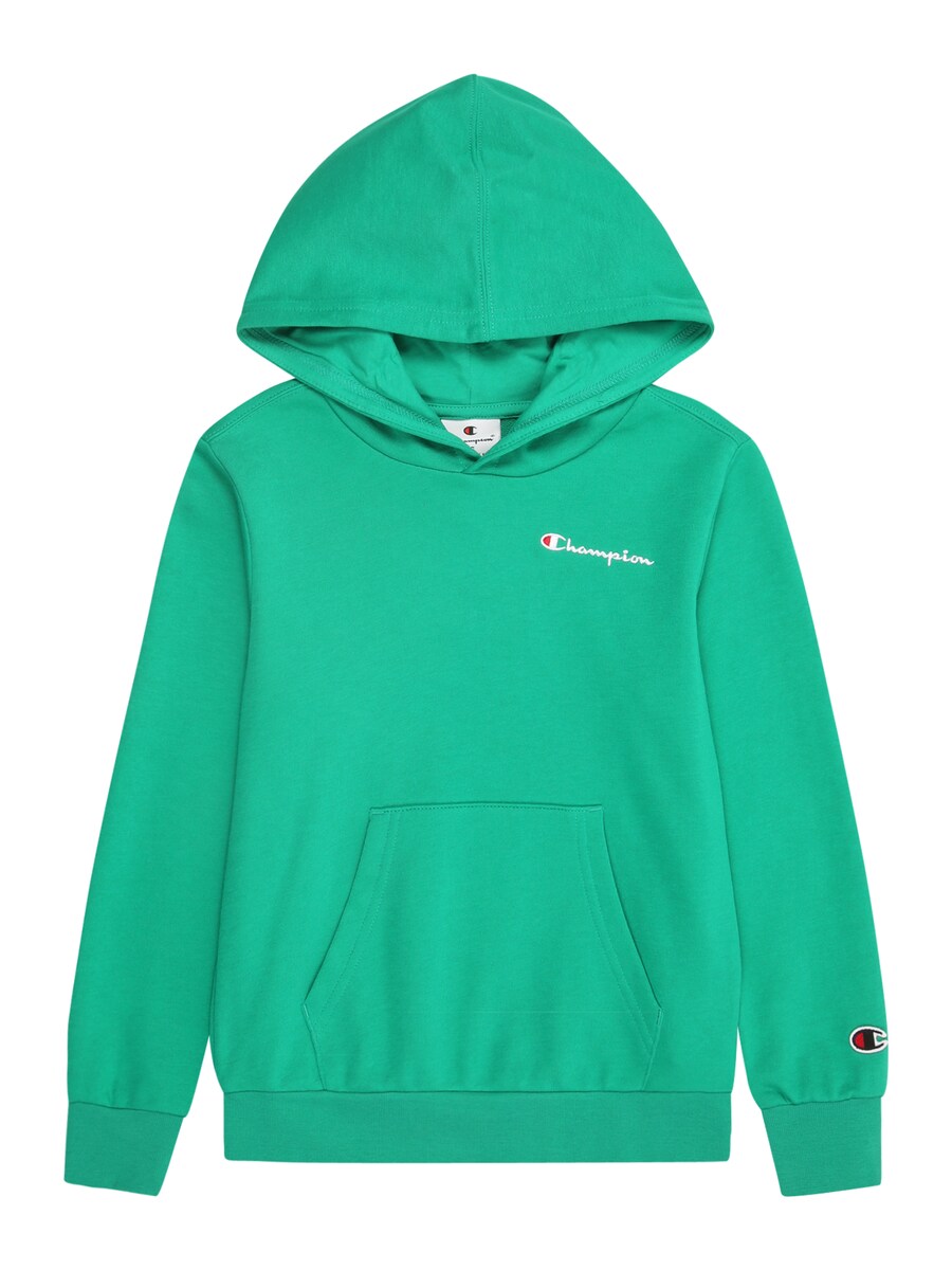 

Толстовка Champion Authentic Athletic Apparel Icons, зеленый