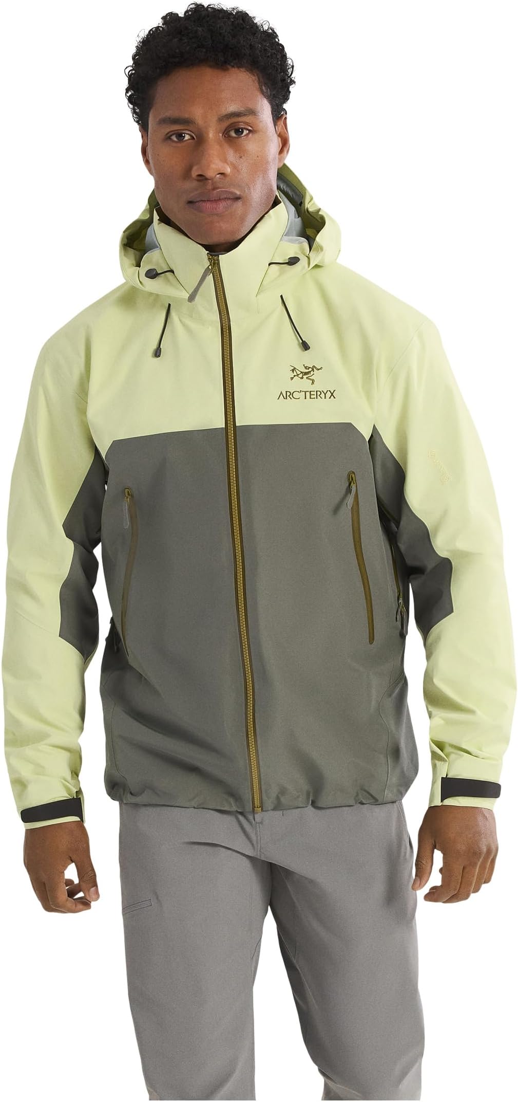 

Куртка Arc'teryx Beta AR Jacket, цвет Ray/Forage