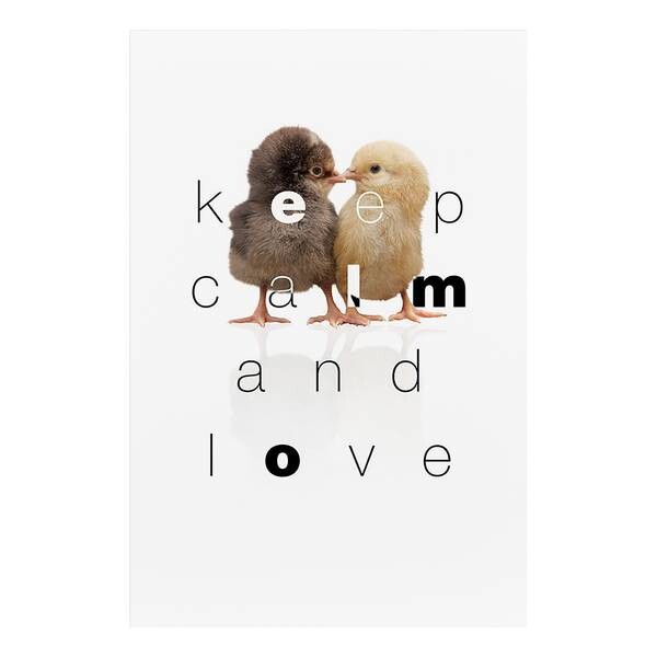 

Фреска Artgeist Keep Calm and Love, разноцветный