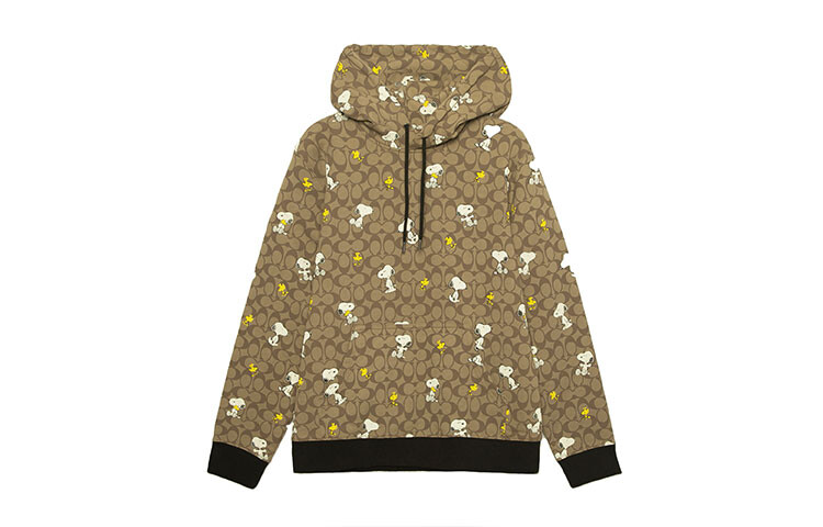

COACH Мужская толстовка, цвет Brown