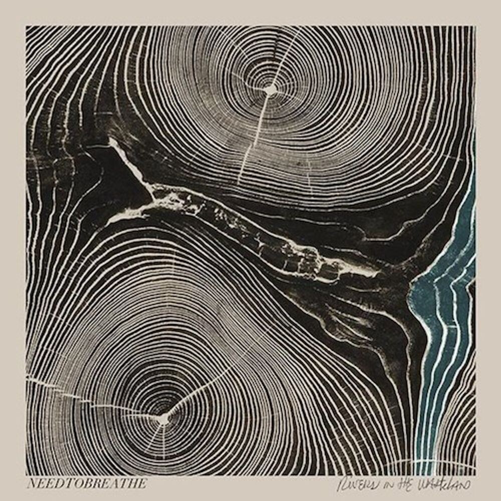 

Виниловая пластинка LP Rivers In The Wasteland - Needtobreathe