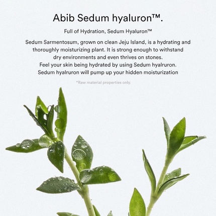 Сыворотка Abib — Подушечка Sedum Hyaluron Pad Hydrating Touch - Hyaluronic Acid, Hydrating and Improving — фото 2