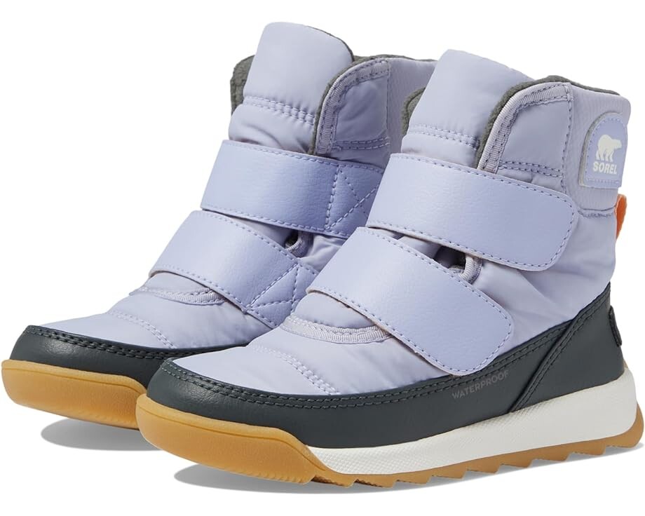 

Ботинки Sorel Whitney II Strap, цвет Twilight/Grill