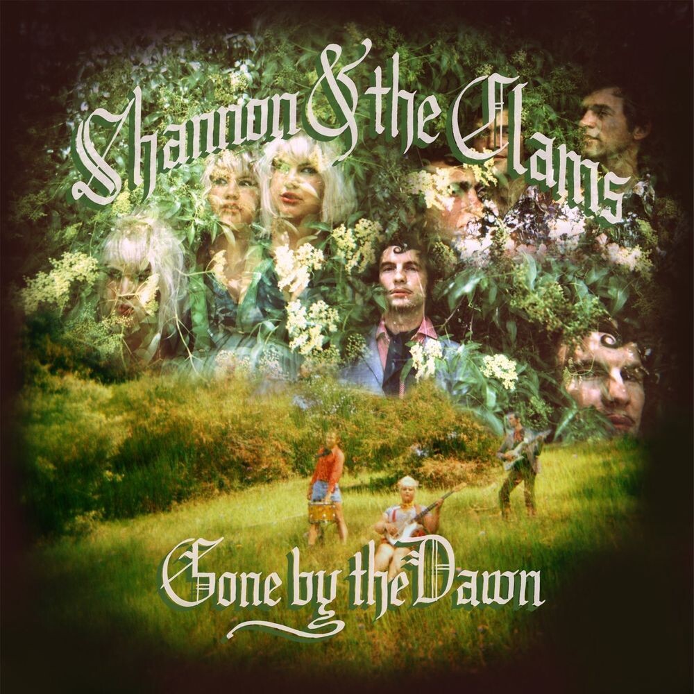 

Виниловая пластинка LP Gone By The Dawn - Shannon & The Clams