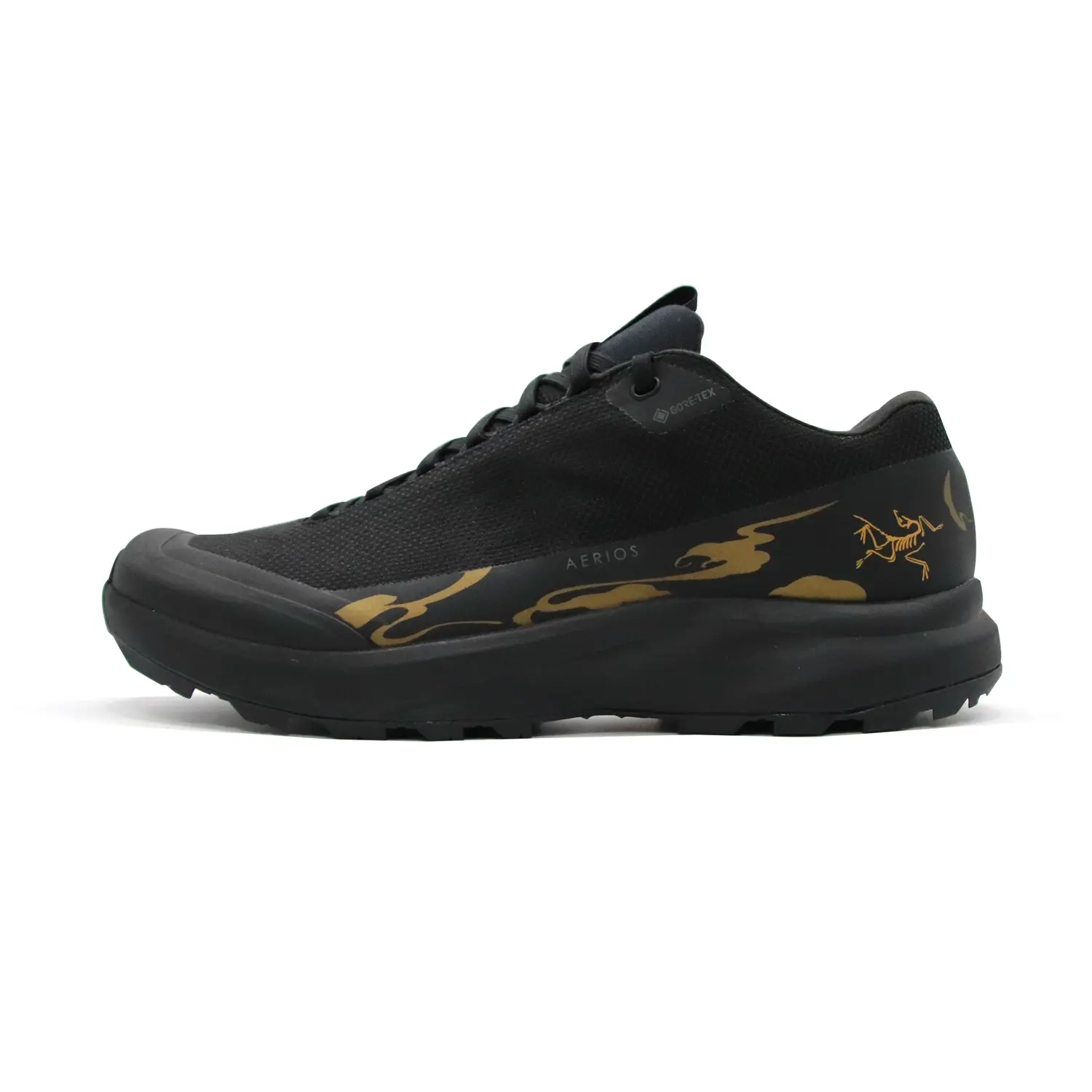 

Aerios GTX Outdoor Performance Shoes Men Low Top Black/ Arcteryx