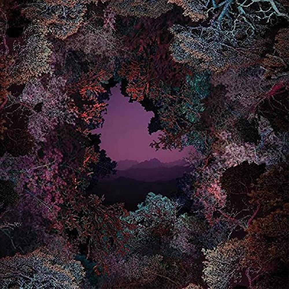 

Виниловая пластинка LP The Land Beyond The Light - Claire George