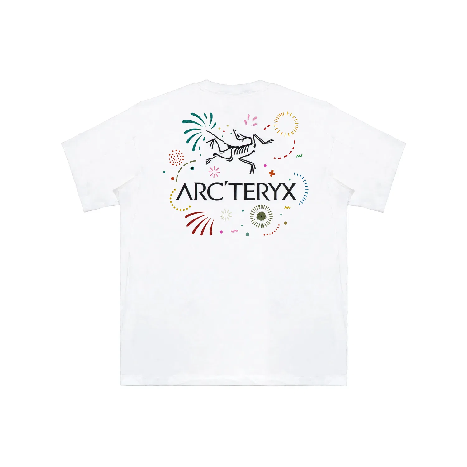 Футболка мужская с коротким рукавом хлопковая Arcteryx, White