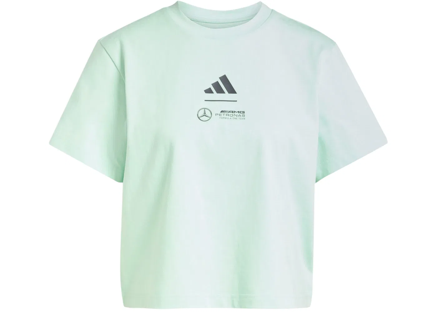 Женская рубашка поло Mercedes AMG Petronas Formula Team Adidas, цвет Frozen Green/Grey Strata