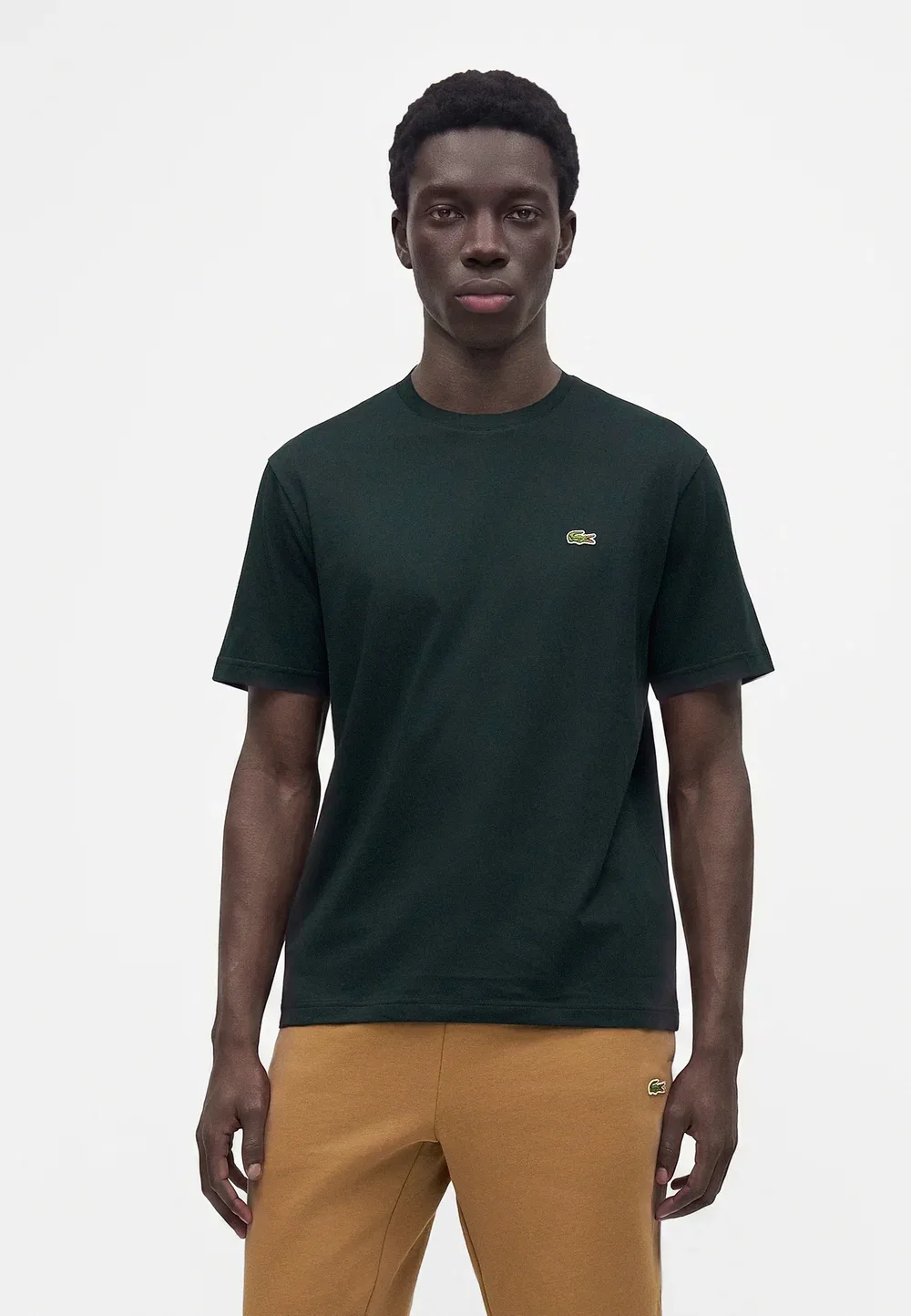 Простая футболка Lacoste, Dark Varech
