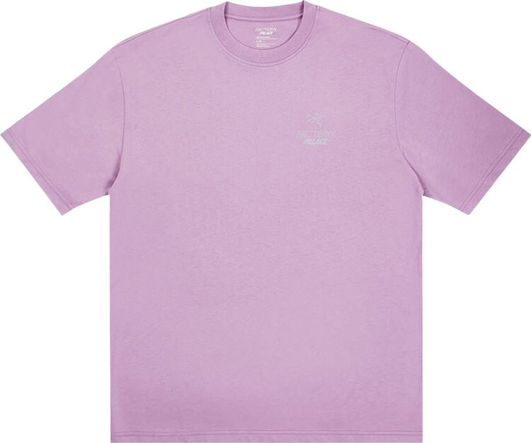 

Футболка Palace x Arc'teryx T-Shirt 'Haze', фиолетовый