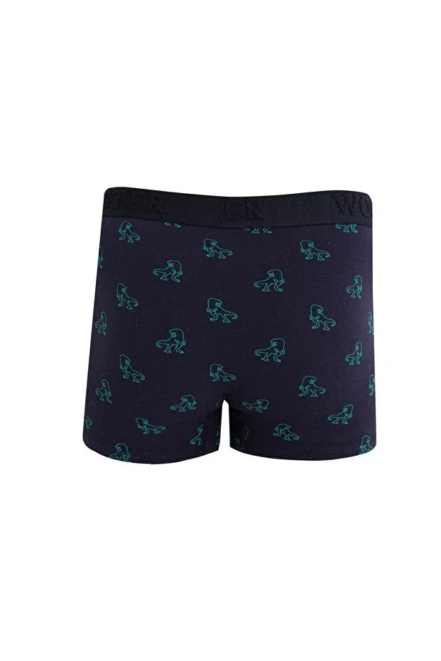 Детские боксеры для мальчиков с принтом Dinosaur cotton boys' boxers Wooster, Navy Blue — фото 3
