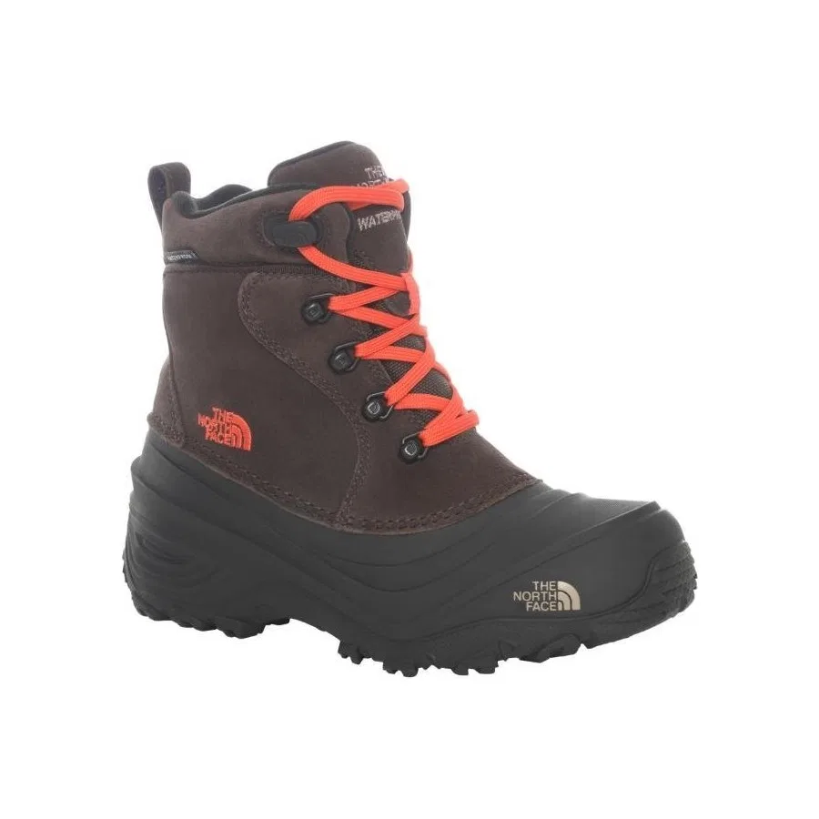 Детские ботинки с защитой от влаги и снега Youth Chilkat Lace 2 The North Face, Коричневый