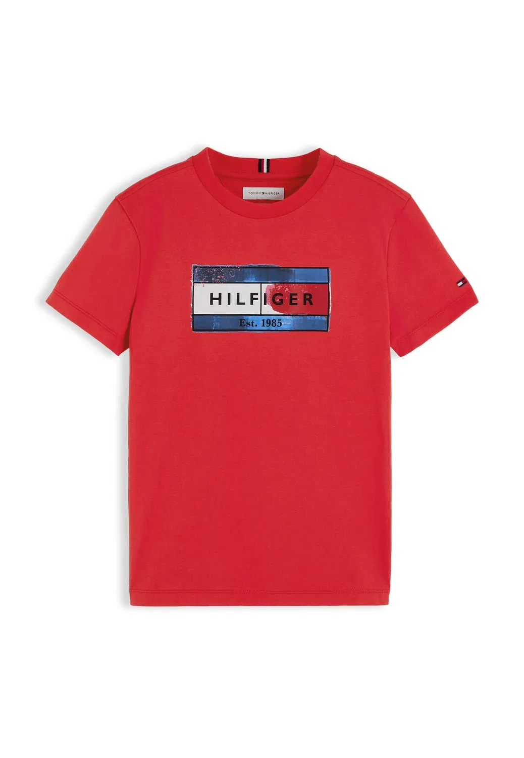 Футболка унисекс с принтом флага от Hilfiger Tommy Hilfiger, Red Glare — фото 4