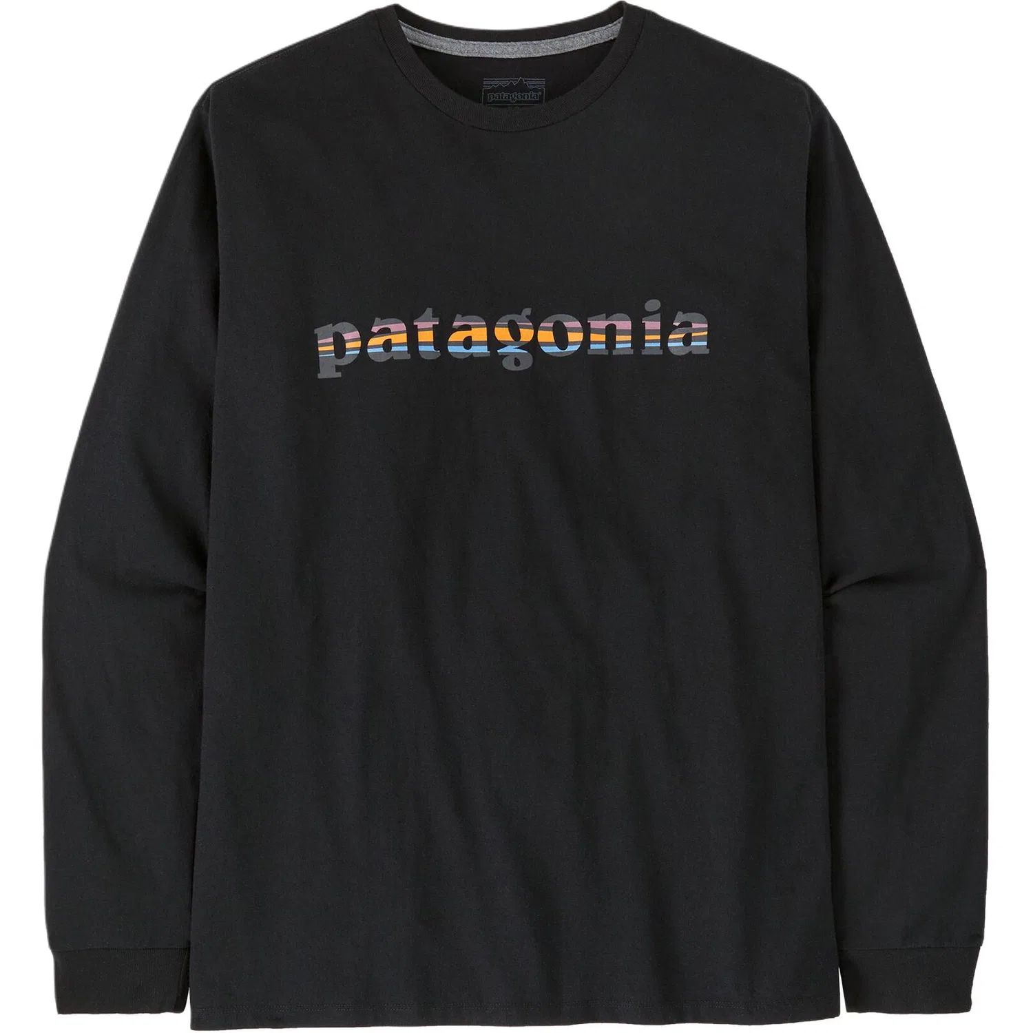 Мужская футболка с принтом Responsibili Tee Patagonia, MRLB — фото 3