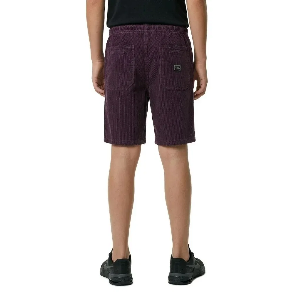 Шорты Volcom Outer Spaced, фиолетовый — фото 4