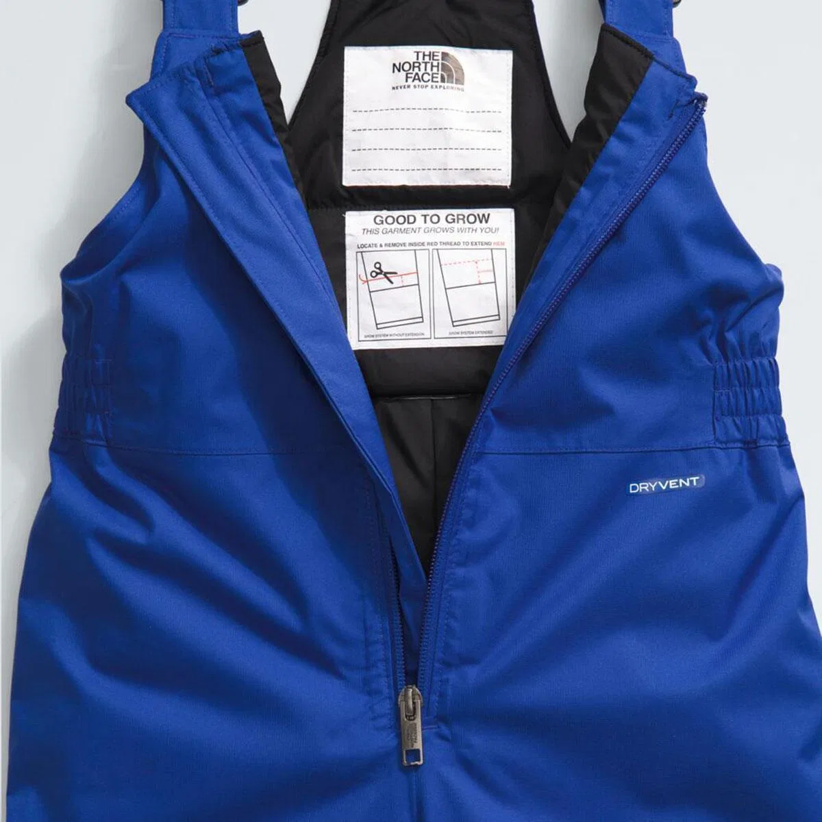 Утепленный полукомбинезон Freedom Insulated NF0A88VM The North Face, TNF Blue — фото 4
