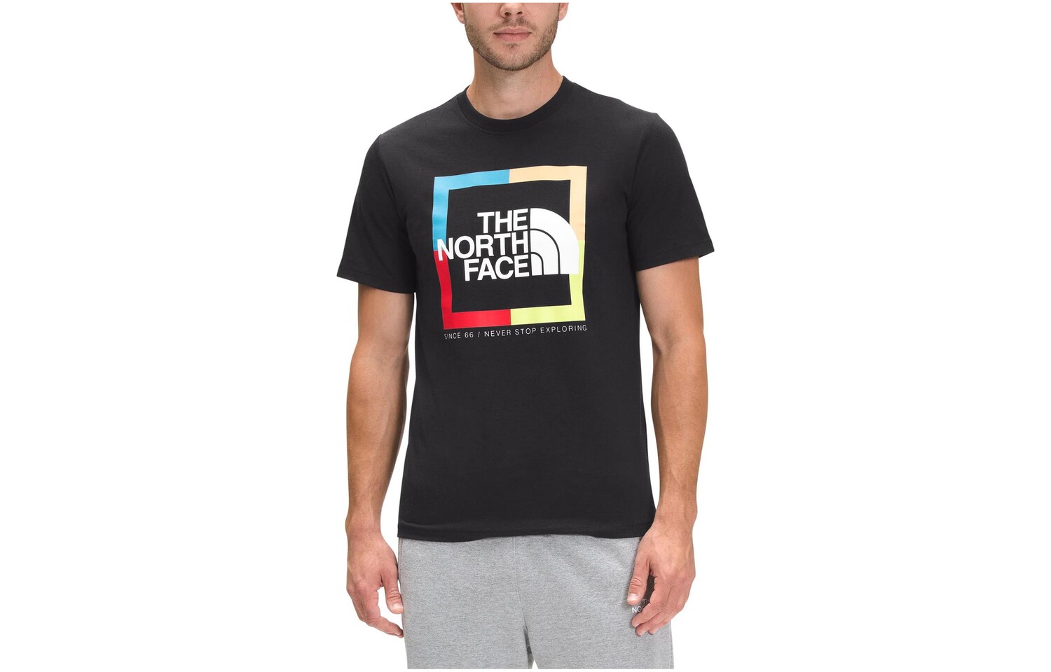 

THE NORTH FACE Мужская футболка, цвет Black