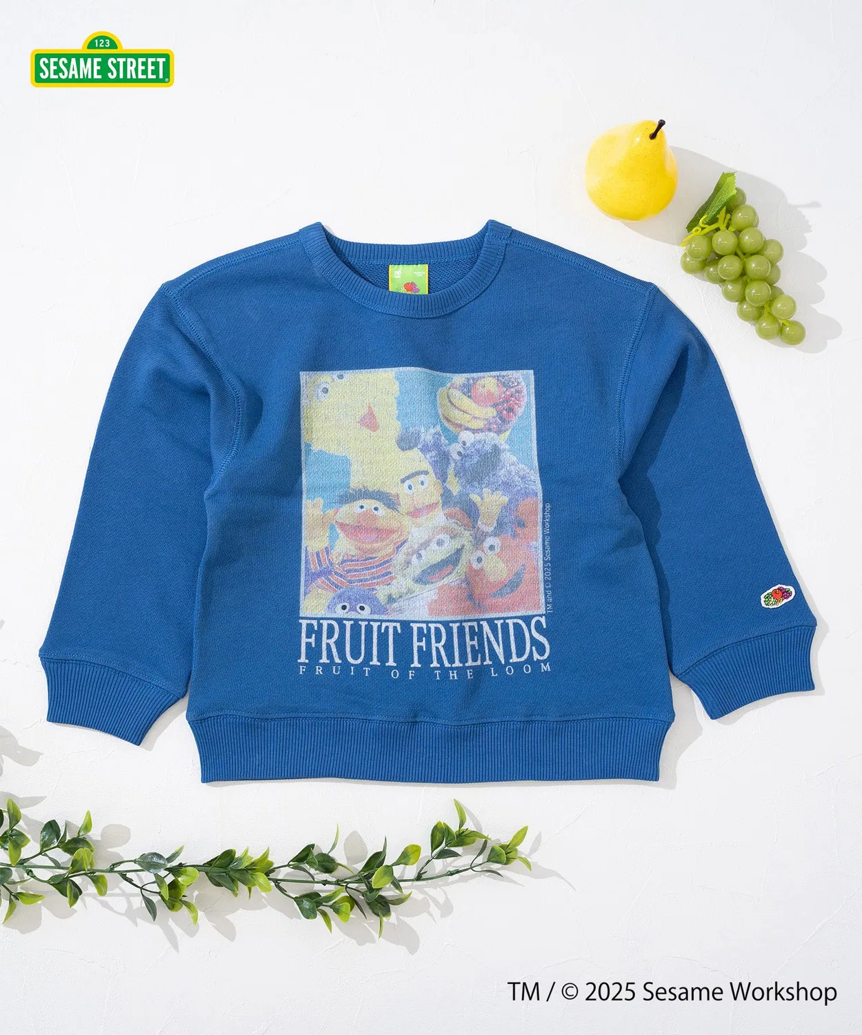 Свитшот длинный рукав Fruit of the Loom x Sesame Street для детей, синий