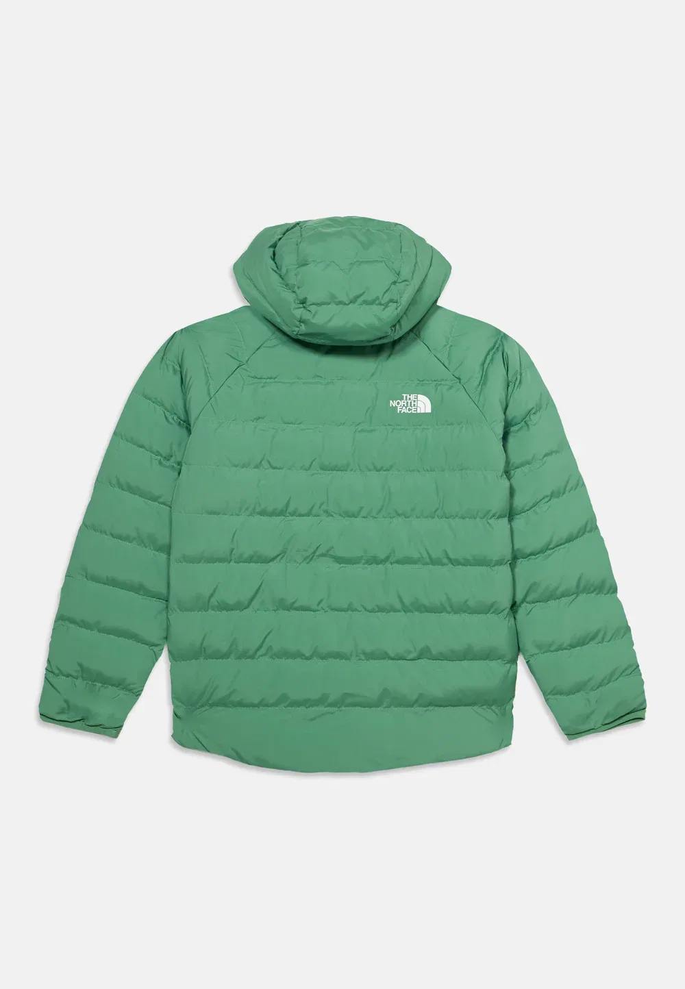 Двусторонняя куртка с капюшоном Perrito, унисекс - зимняя куртка The North Face, Light Green — фото 2