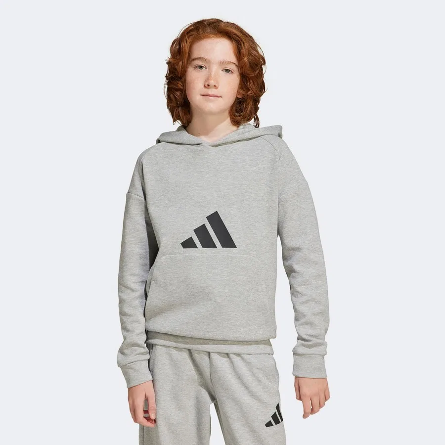 Детский свитшот с капюшоном J FI LOGO HD adidas, Серый