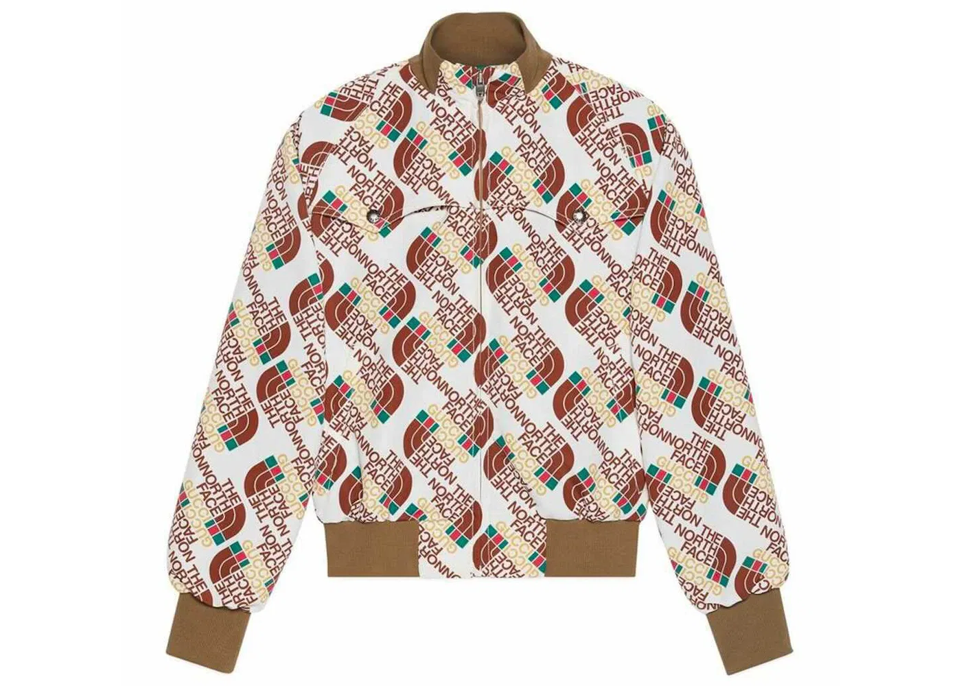 Мужская куртка из технического джерси с принтом Web Gucci x The North Face, Brown/Beige