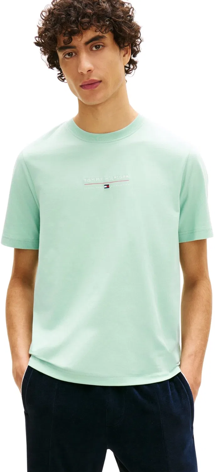 Мужская футболка с принтом Art Tommy Hilfiger, Crushed Mint