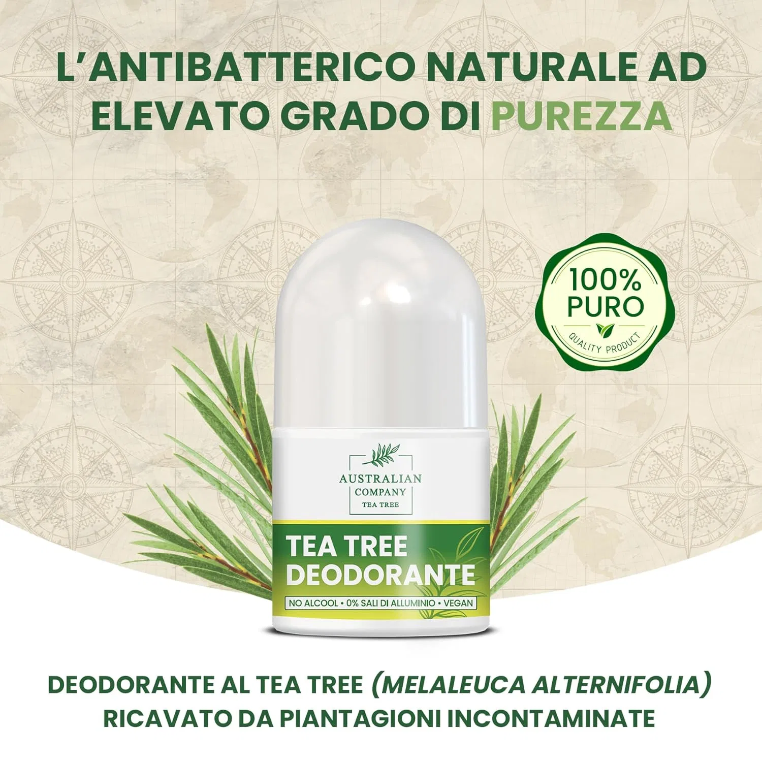 Роликовый дезодорант Tea Tree, 50 мл Australian Company Tea Tree — фото 2