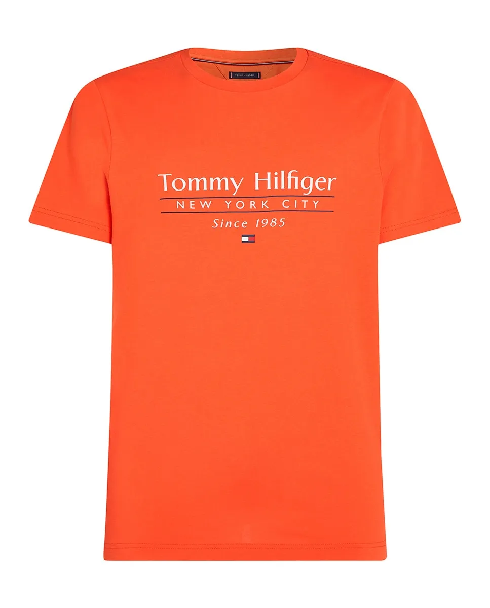 

Мужская футболка с фирменным принтом на груди, большие размеры Tommy Hilfiger, оранжевый
