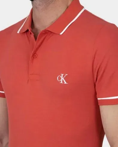 Мужское поло Calvin Klein, Multicolor — фото 3