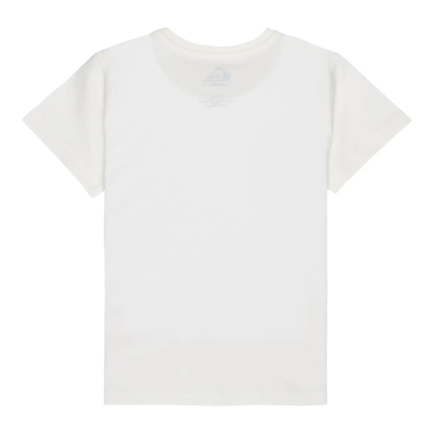 Детская футболка с принтом Ev Palm Horizon Quiksilver, Blanco — фото 2
