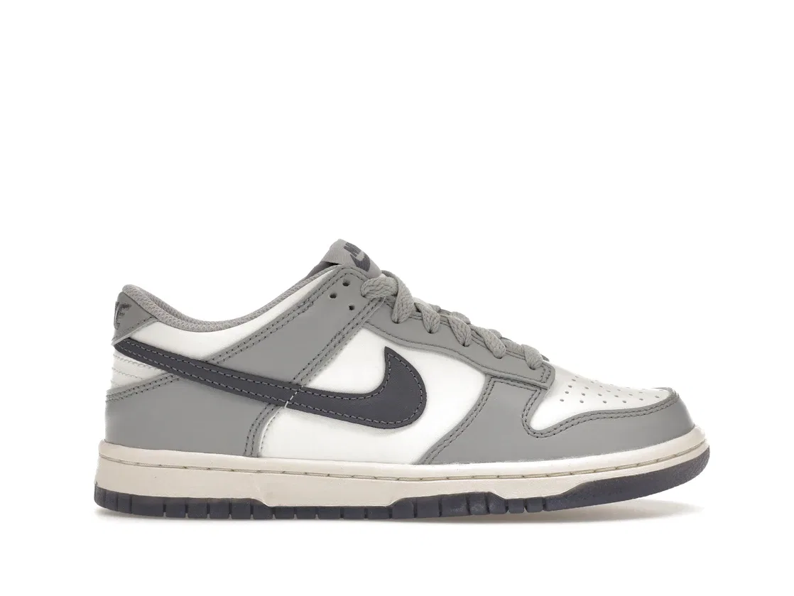 Детские кроссовки для мальчиков и девочек с низким силуэтом Nike Dunk Low Nike, White/Light Carbon/Platinum Tint/Pure Platinum