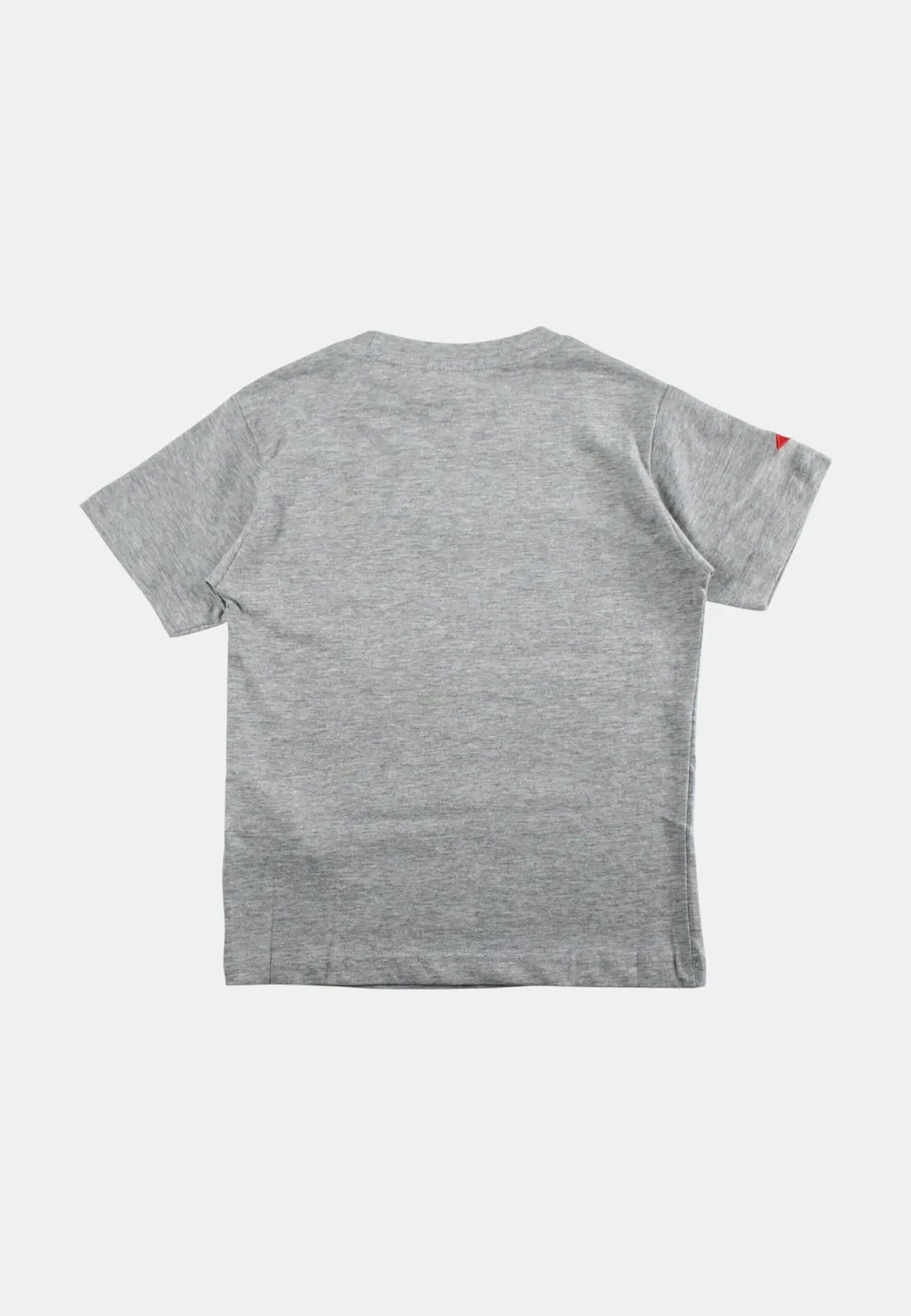 Imprimé - футболка с принтом Lee Cooper, Gris — фото 2