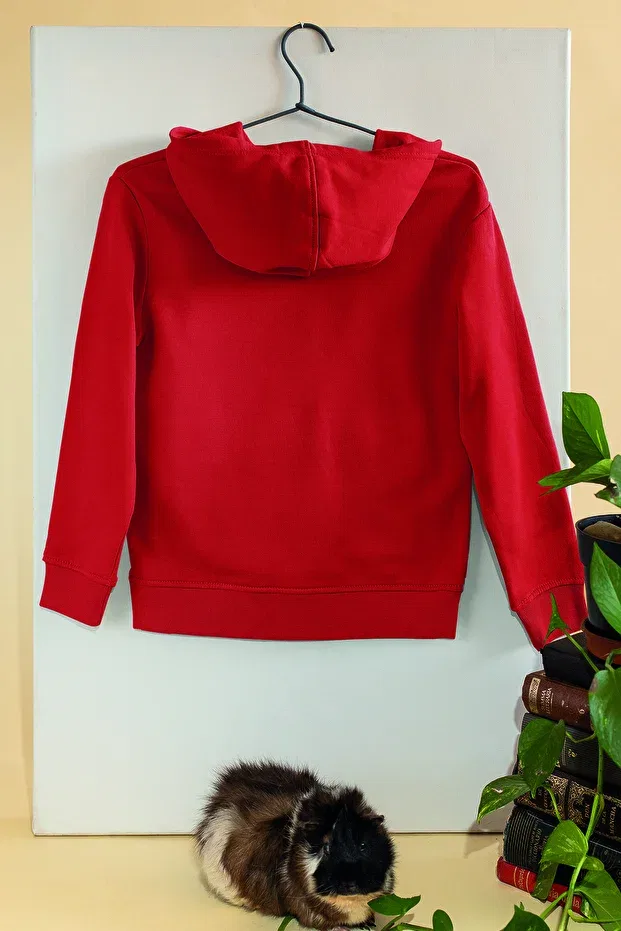 Детские свитшот для мальчиков с принтом oversize Adabebek, Red — фото 2