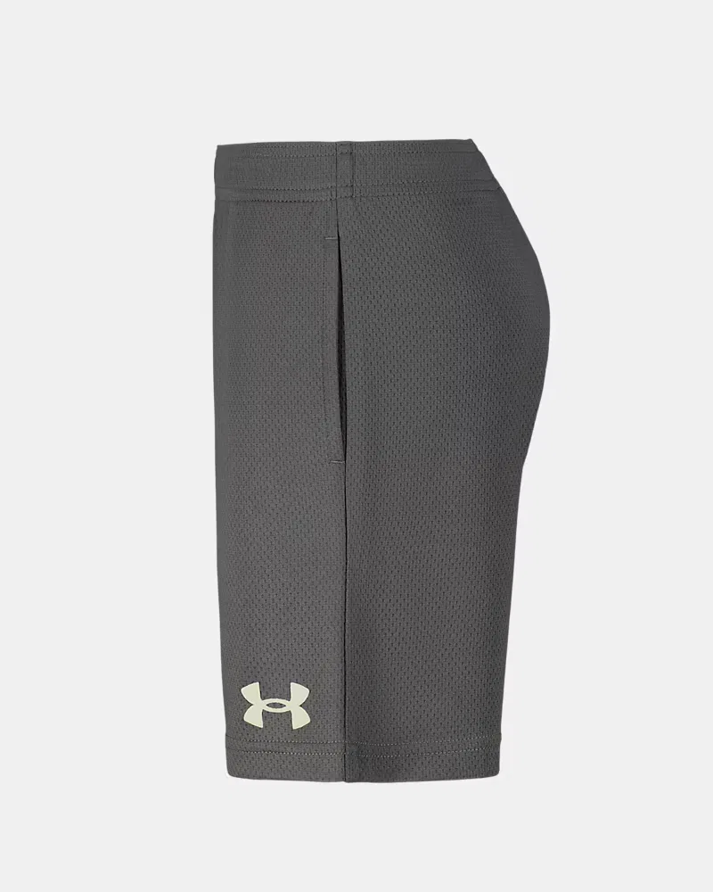 Шорты детские для мальчиков из плотной дышащей сетки UA Tech Wordmark UnderArmour, Castlerock — фото 4