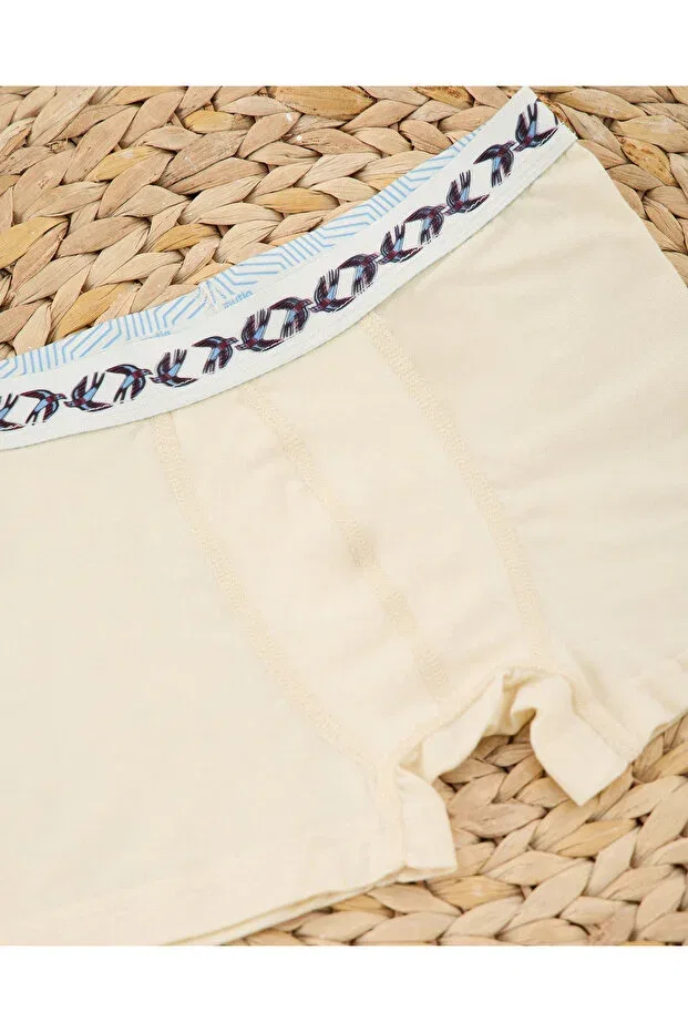 Детские боксеры для мальчиков из микро-модала Mutig, Nude Color