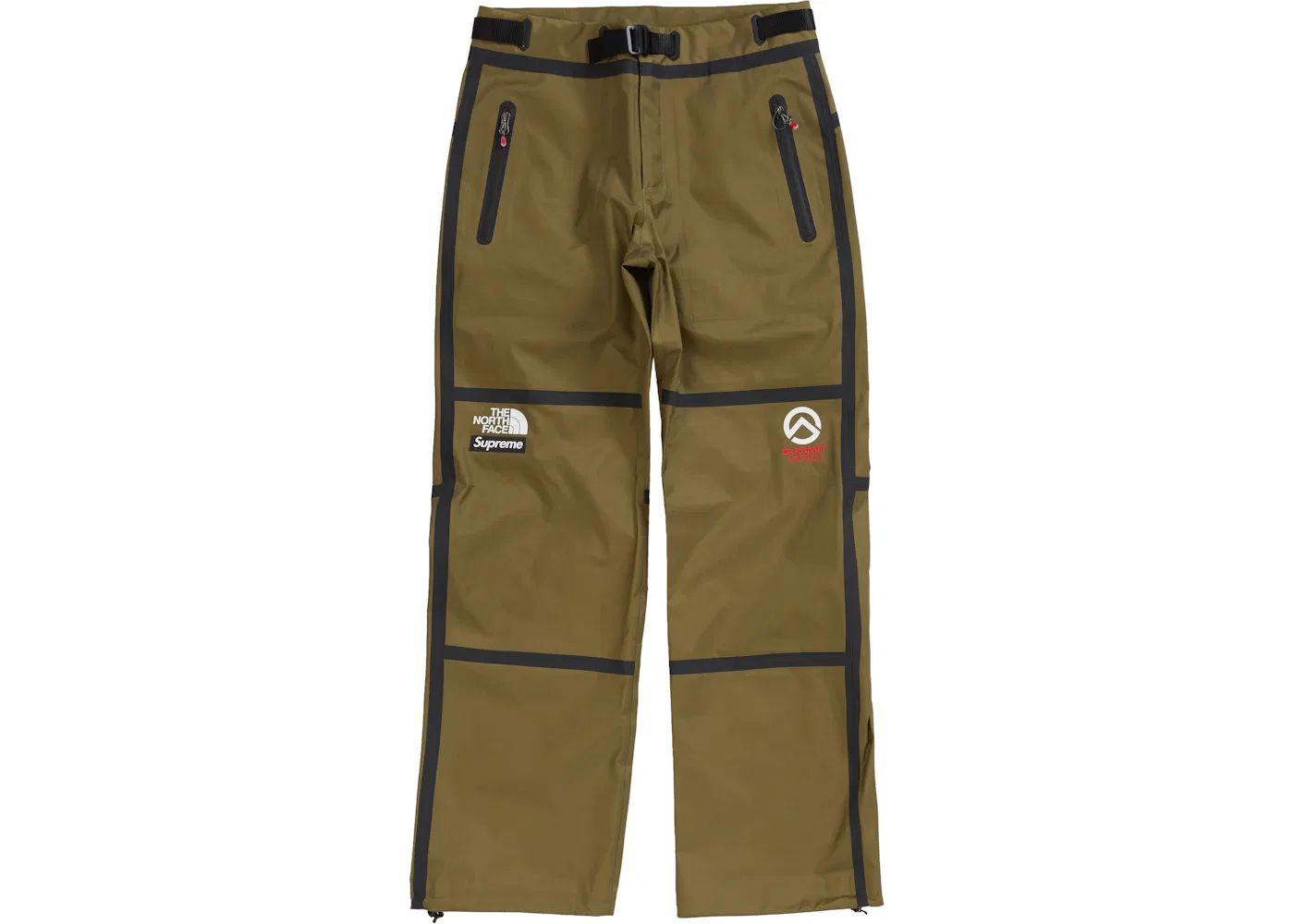 Мужские штаны с принтом Summit Series Supreme The North Face, Olive