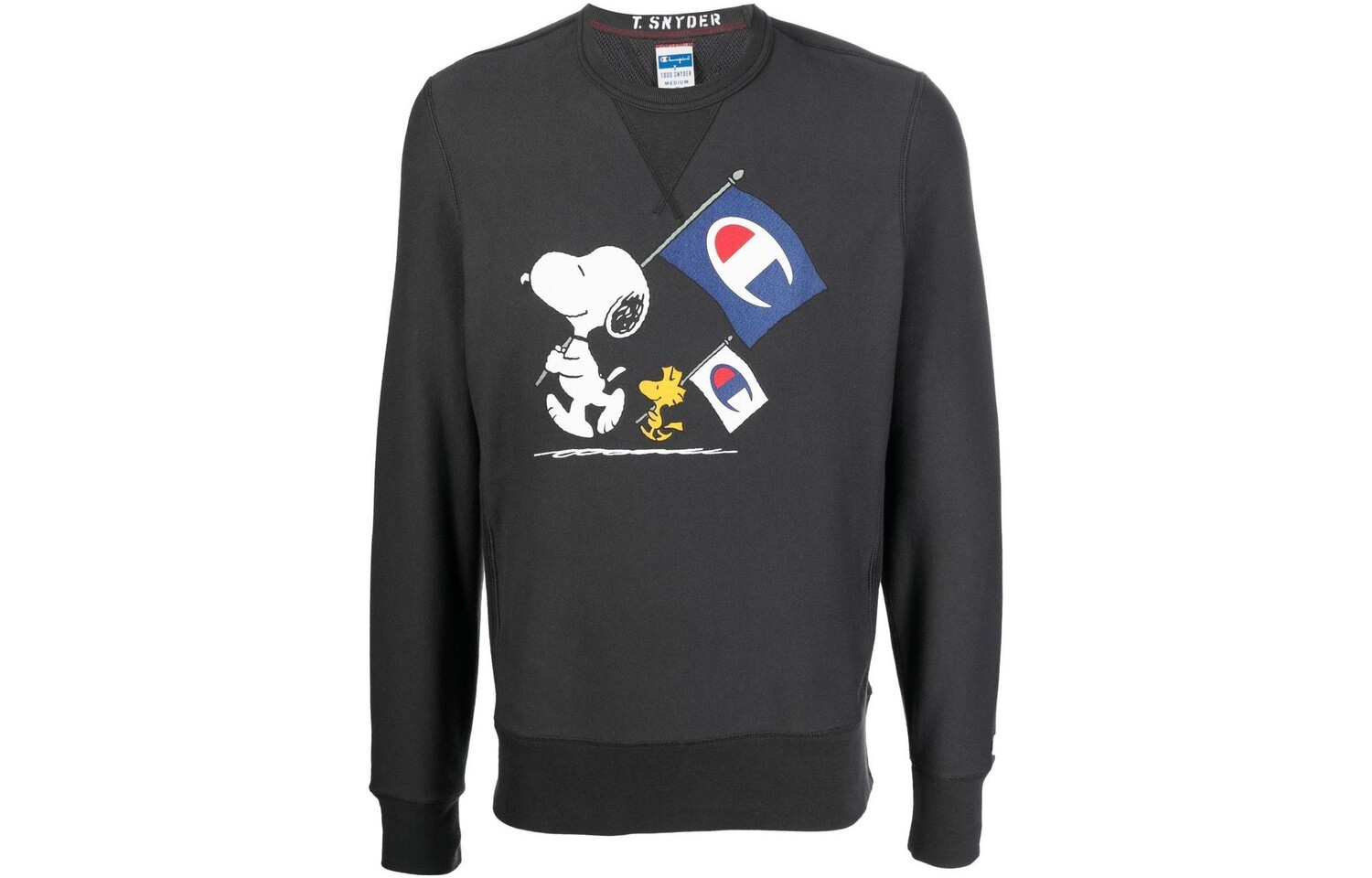 

Мужская толстовка Champion, цвет Black