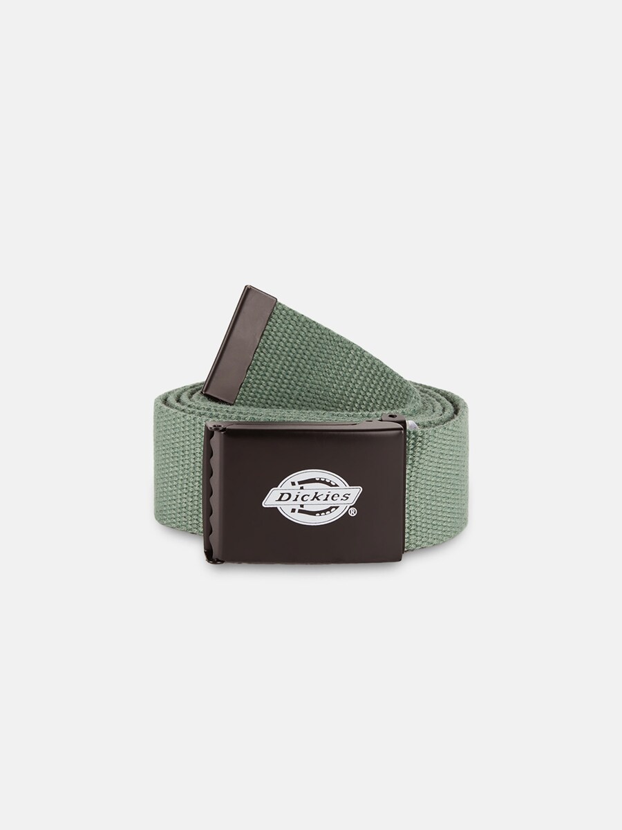 

Ремень DICKIES Orcutt, светло-зеленый