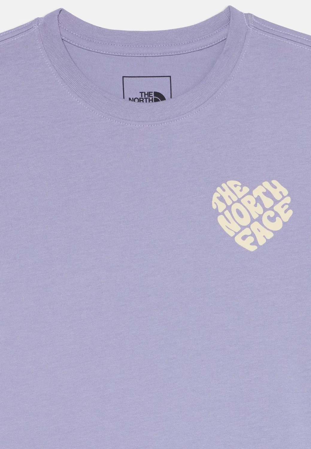 Футболка Brand Proud с графическим принтом, унисекс The North Face, Pale Plum — фото 4