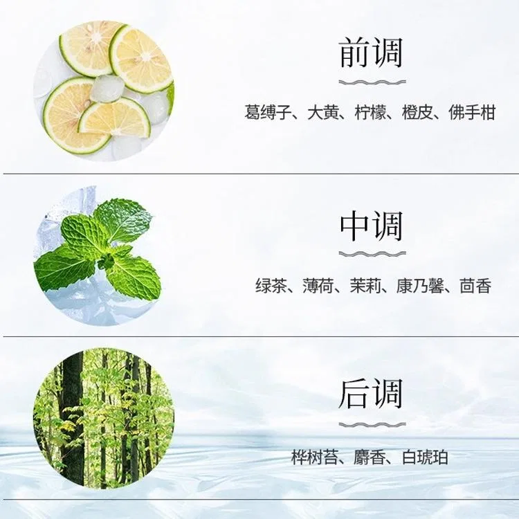 Женский набор парфюмерии Green Tea с лосьоном для тела 250 мл и духами 30 мл, Elizabeth Arden, Green Tea — фото 3