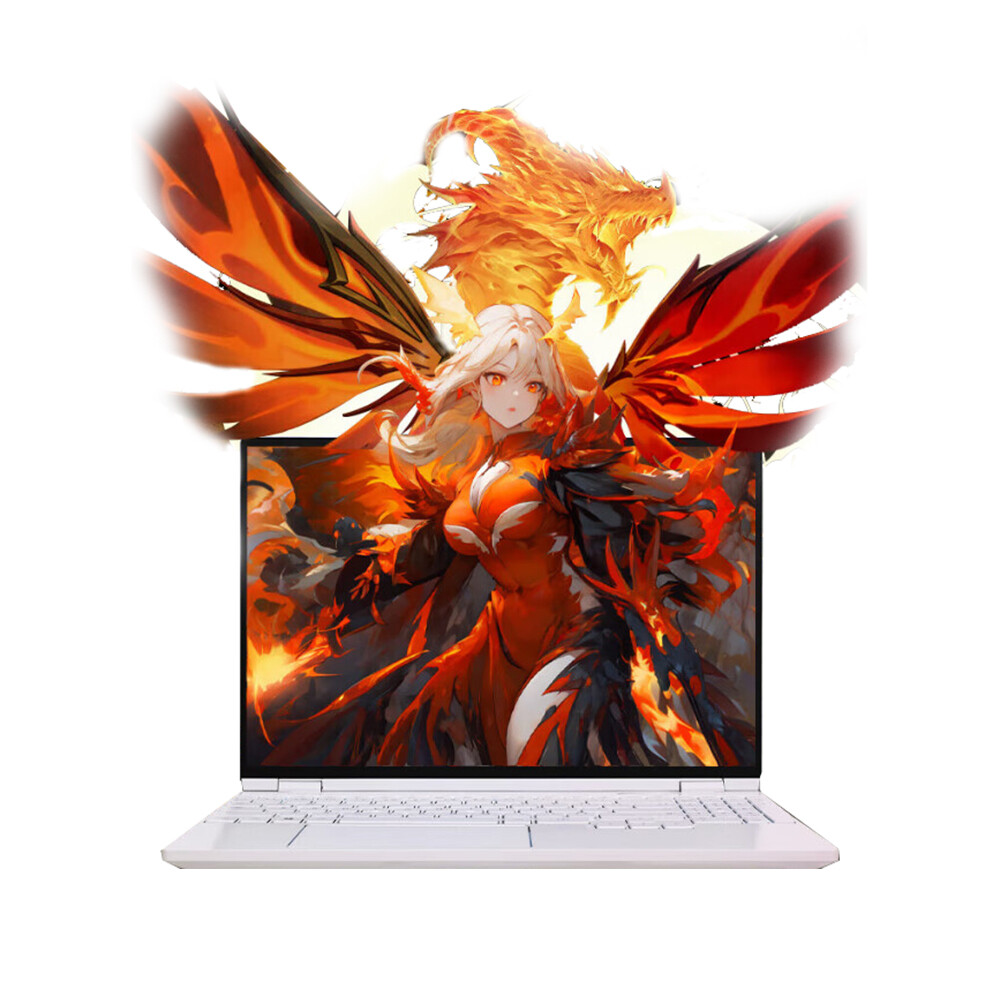 

Игровой ноутбук Mechrevo Wing Loong 15 Pro, 15.3", 16 ГБ/512 ГБ, R7-8845H, RTX 4060, 99 Втч, белый, английская клавиатур