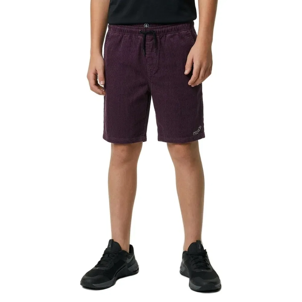Шорты Volcom Outer Spaced, фиолетовый — фото 3