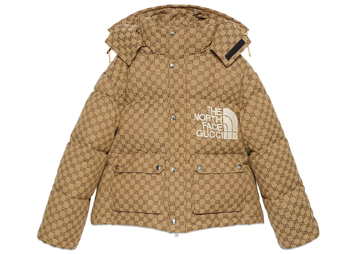 Мужская куртка с принтом Gucci x The North Face Print Gucci, Beige Ebony