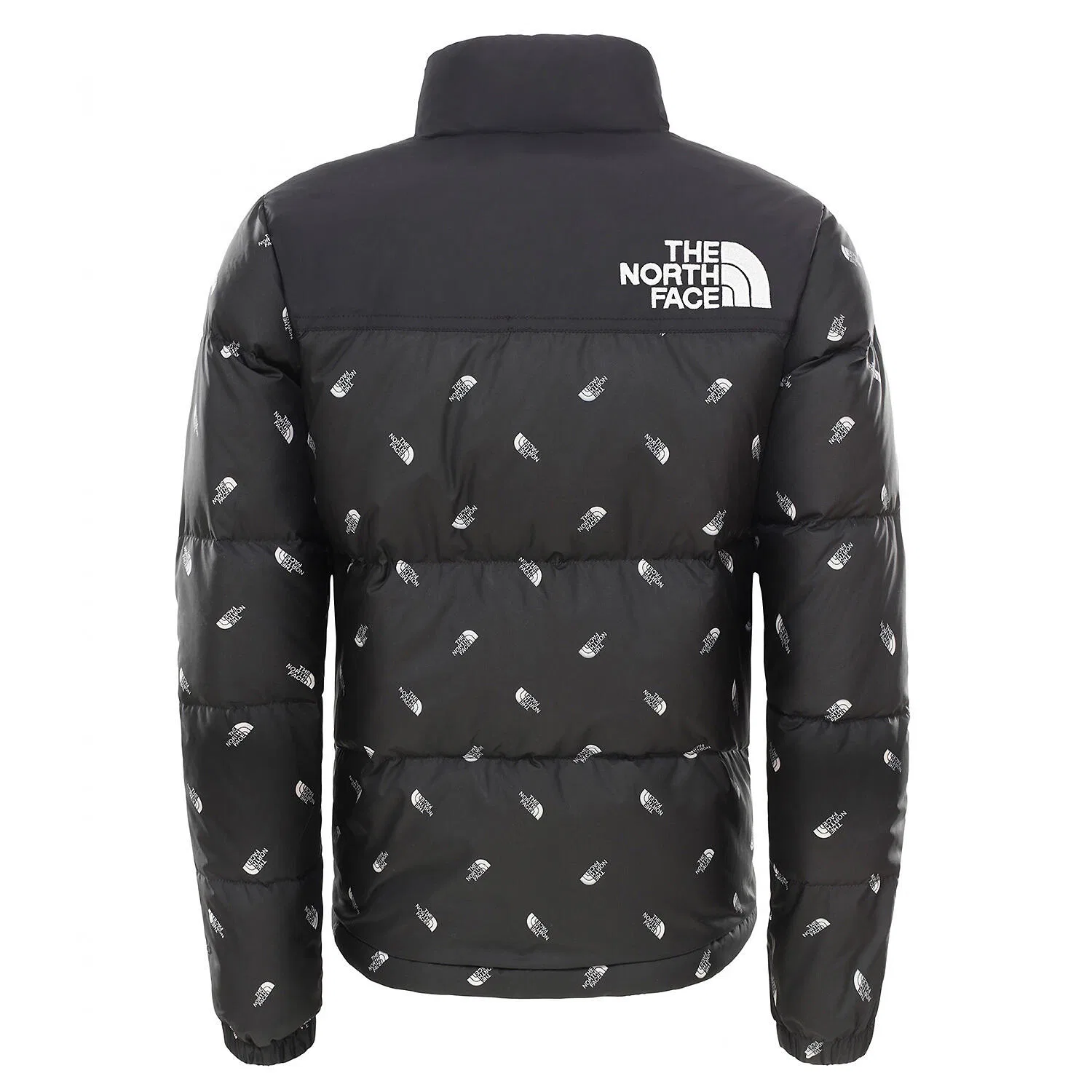Детская куртка с длинным рукавом YOUTH RETRO NUPTSE JACKET The North Face, Schwarz Grau — фото 2