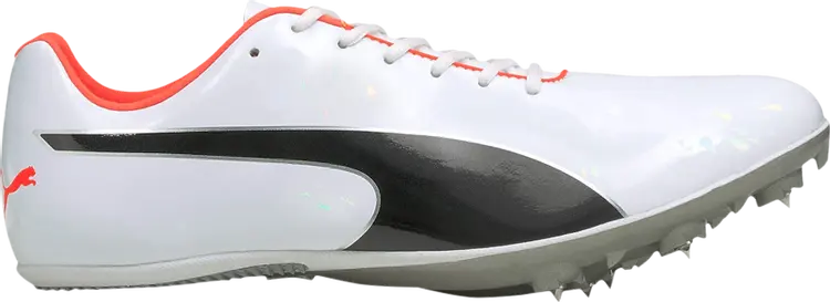 

Бутсы Puma evoSpeed Sprint 10 White Black, белый