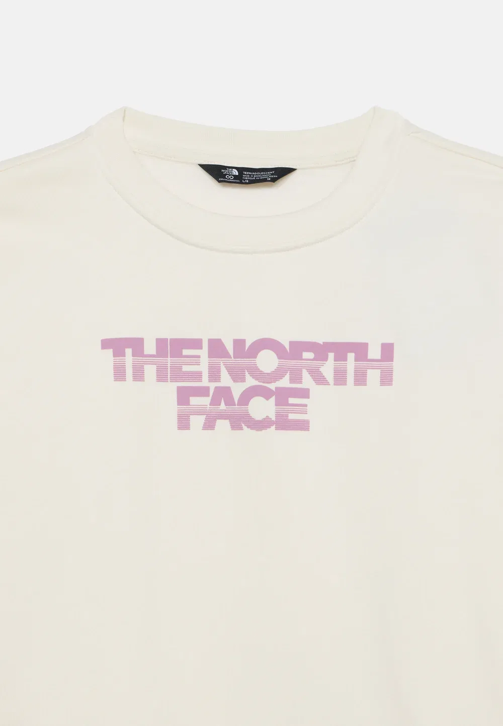 Трусы-Свитшоты Teen Chalbi Relaxed Crew с графическим принтом, унисекс The North Face, White Dune — фото 3