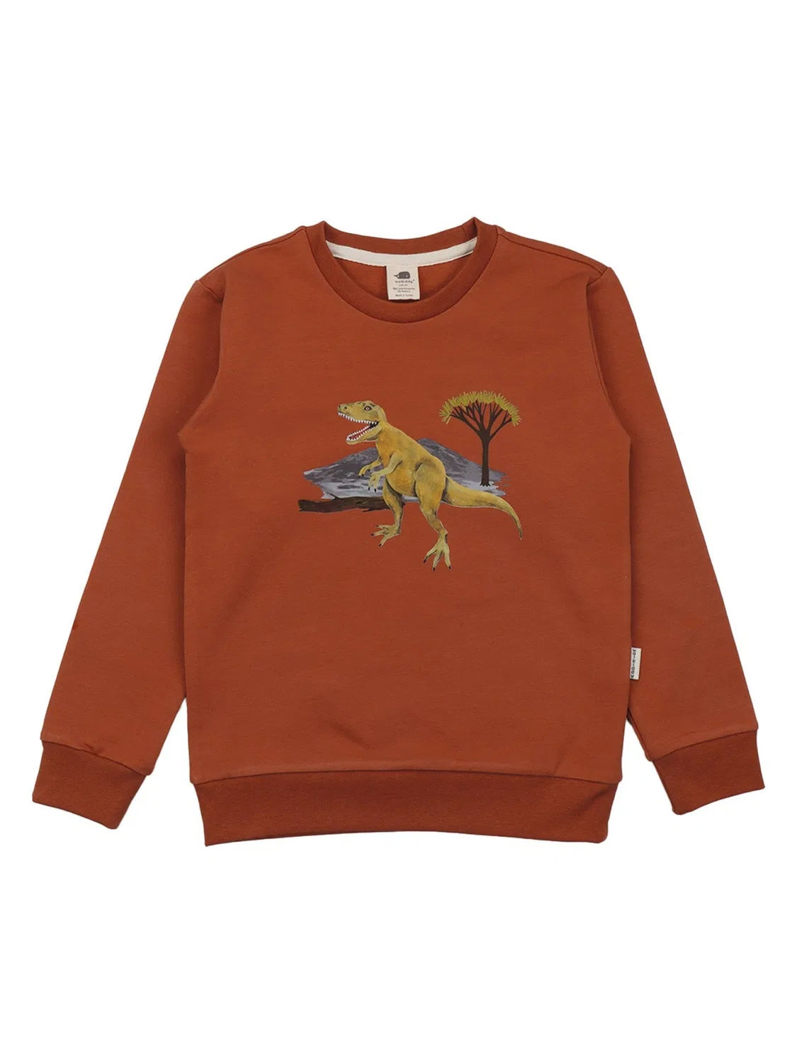 Толстовка 'Walkiddy - Dinasaur World Толстовка' Walkiddy, Brown
