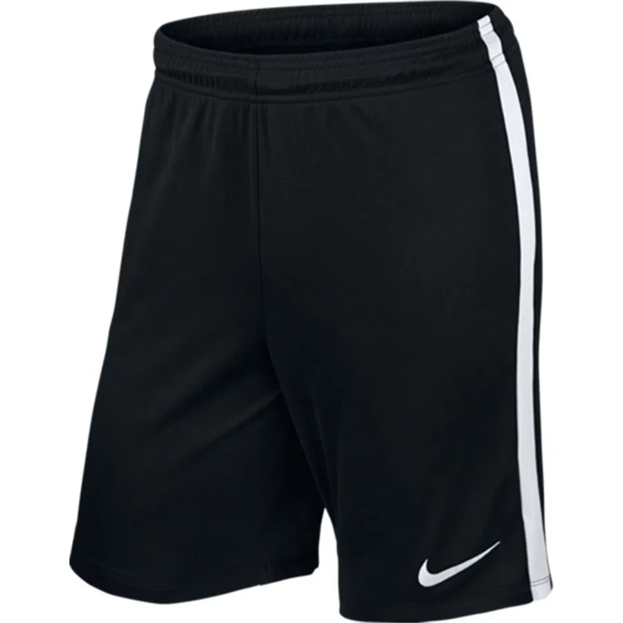 Шорты спортивные Nike League Knt NB, Фиолетовый